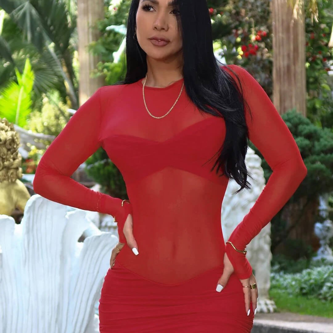 ZEYA - Wendy Sheer Mesh Ruched Mini Dress